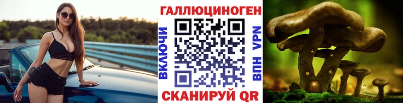 Галлюциногенные грибы GOLDEN TEACHER  Купить где  Махачкала 